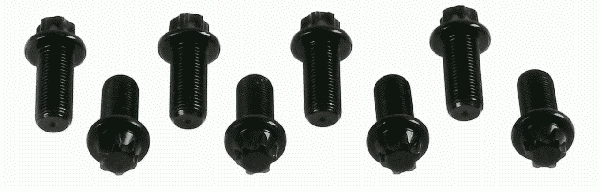 Smagračio varžtų komplektas SACHS 1874 000 030