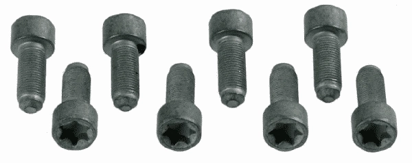 Smagračio varžtų komplektas SACHS 1874 000 031