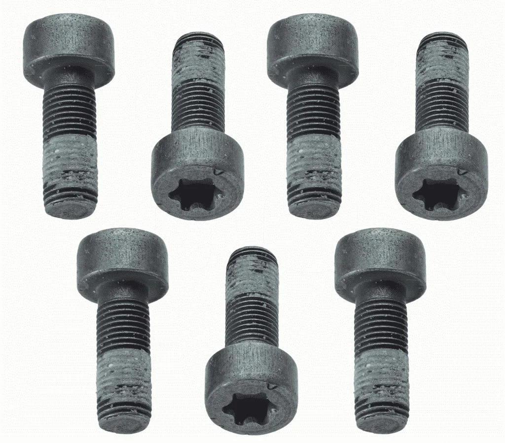 Smagračio varžtų komplektas SACHS 1874 000 040
