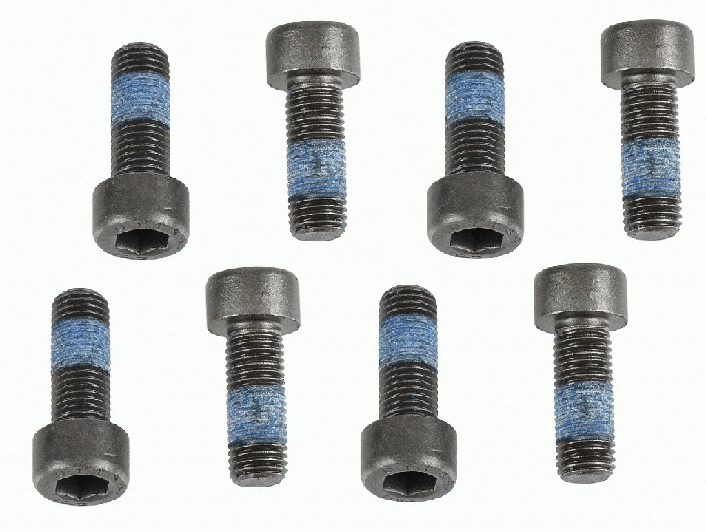 Smagračio varžtų komplektas SACHS 1874 000 053