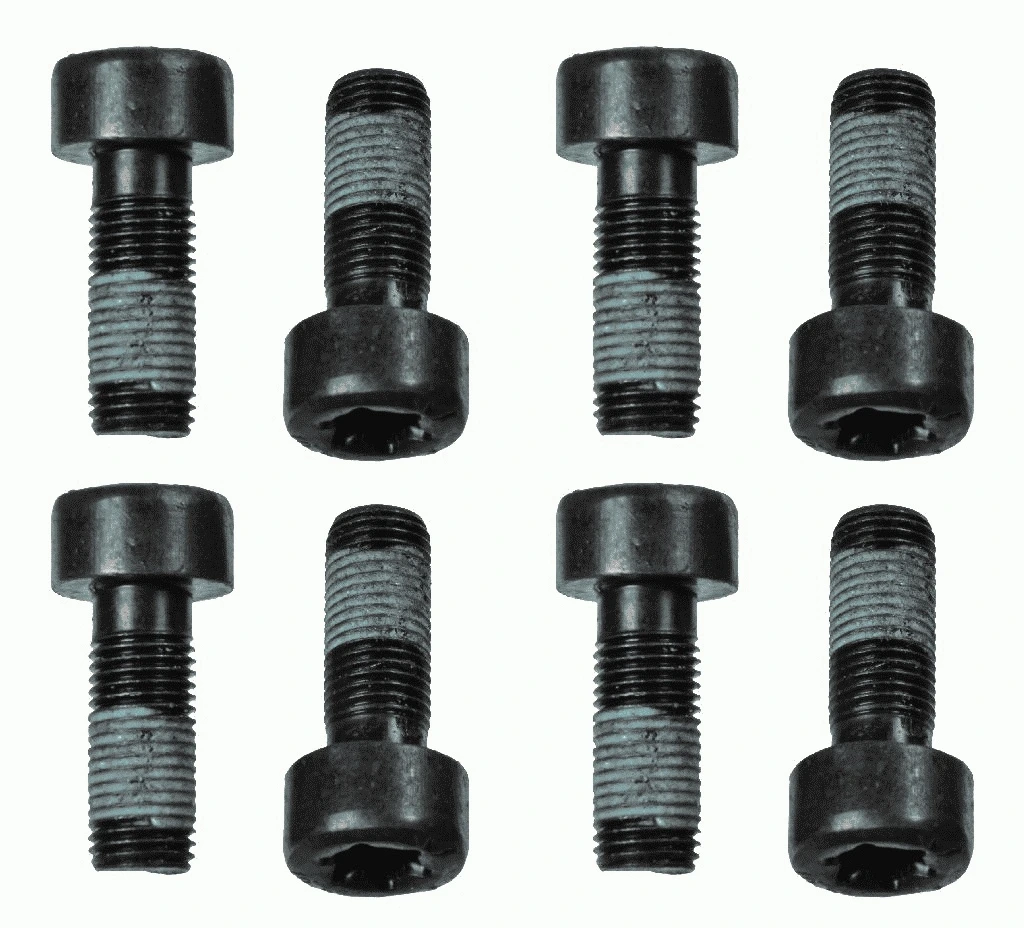 Smagračio varžtų komplektas SACHS 1874 000 060