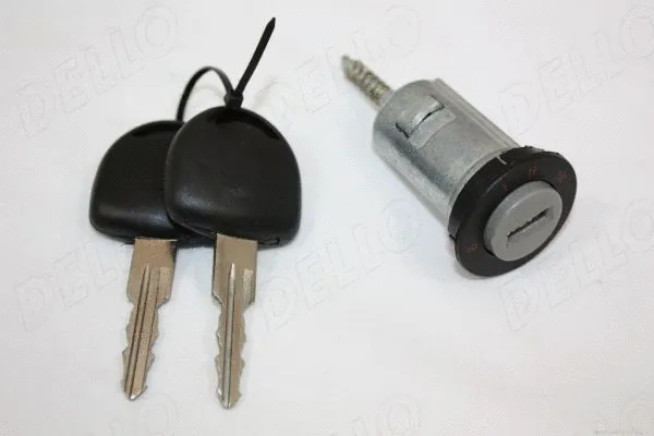 Uždegimo užrakto cilindras AUTOMEGA 100082810