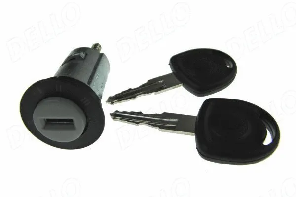 Uždegimo užrakto cilindras AUTOMEGA 100082910