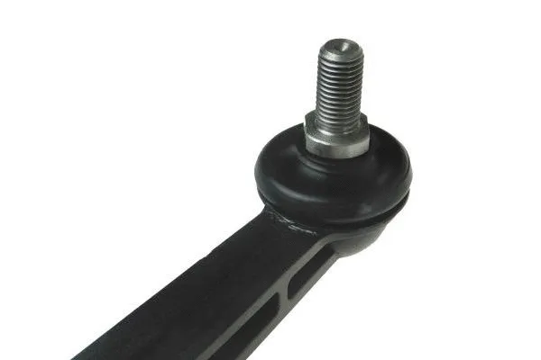 Šarnyro stabilizatorius AUTOMEGA 110151210