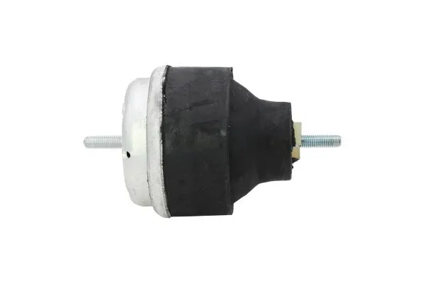 Variklio montavimas AUTOMEGA 130029710