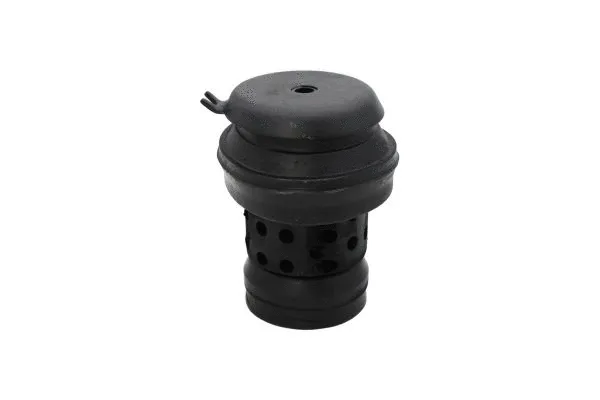 Variklio montavimas AUTOMEGA 130031910