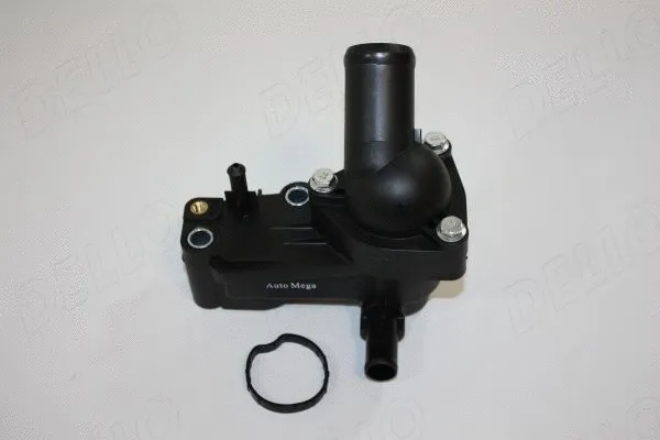Termostatas AUTOMEGA 160023810