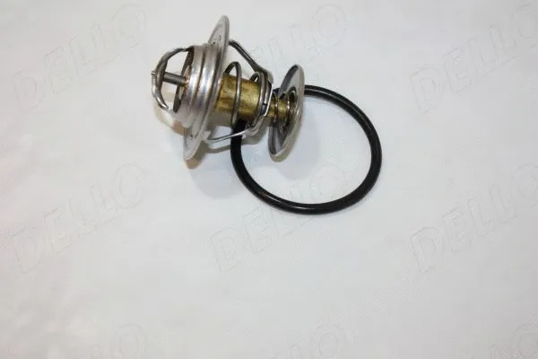 Termostatas AUTOMEGA 160047210