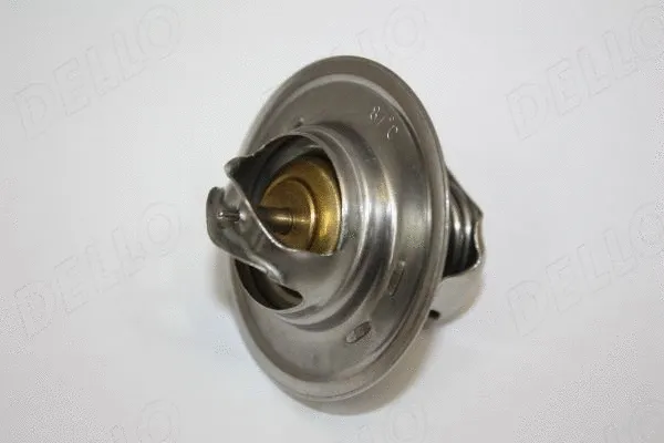 Termostatas AUTOMEGA 160047310