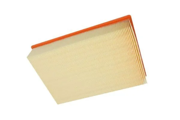 Oro filtras AUTOMEGA 180018310