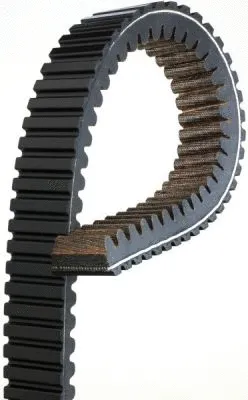 Varantysis diržas GATES 20G3982