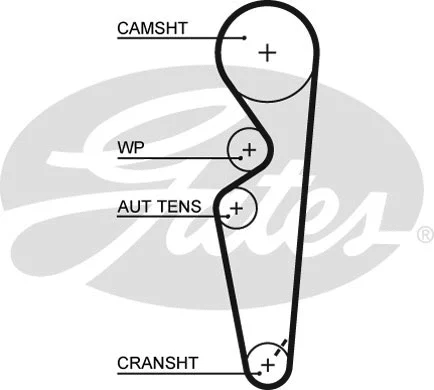 Paskirstymo diržas GATES 5431XS