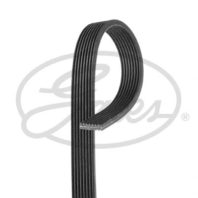 Dirželis GATES 8DPK1355