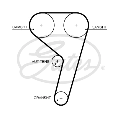 Paskirstymo diržas GATES T367HOB