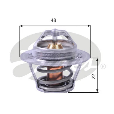 Termostatas GATES TH00391G1