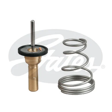 Termostatas GATES TH49788G1