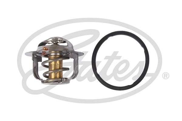 Termostatas GATES TH52488G1
