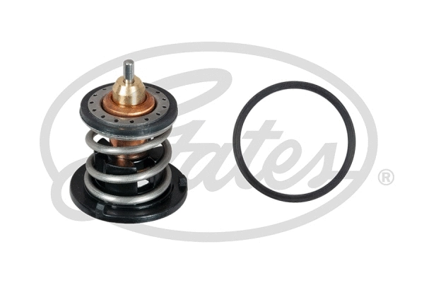 Termostatas GATES TH60380G1