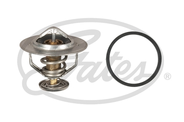 Termostatas GATES TH60588G1