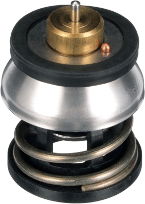 Termostatas GATES TH64187G1