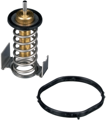 Termostatas GATES TH64290G1