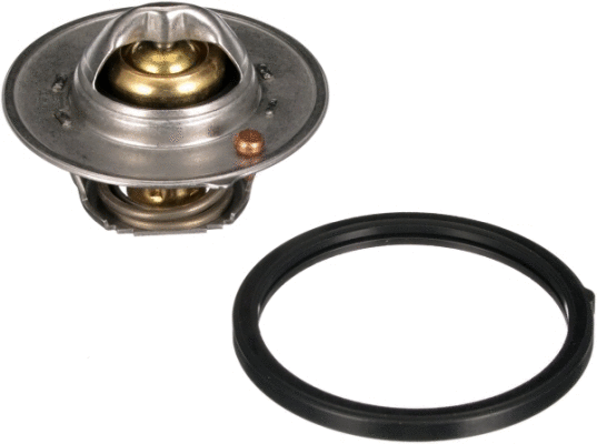 Termostatas GATES TH64488G1