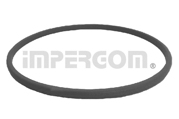 Degalų siurblio tarpinė ORIGINAL IMPERIUM 25645