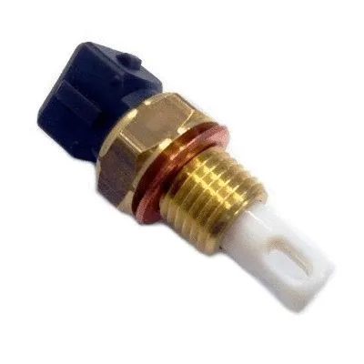 Įsiurbiamo oro temperatūros valdymo blokas HOFFER 7472042