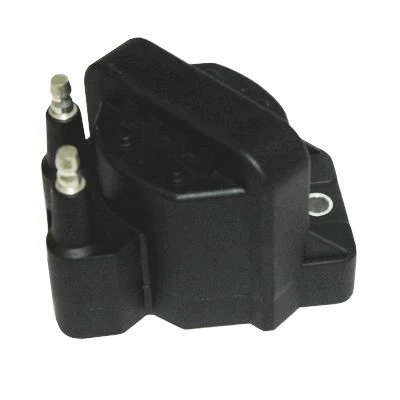 Uždegimo ritė HOFFER 8010724
