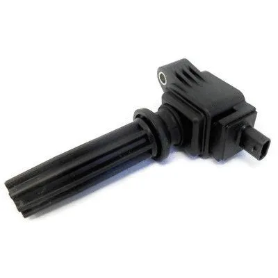 Uždegimo ritė HOFFER 8010767