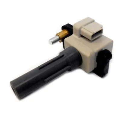 Uždegimo ritė HOFFER 8010775