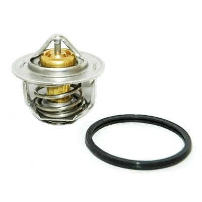 Termostatas HOFFER 8192211