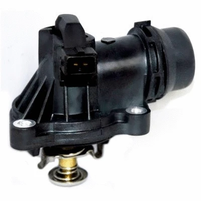 Termostatas HOFFER 8192763