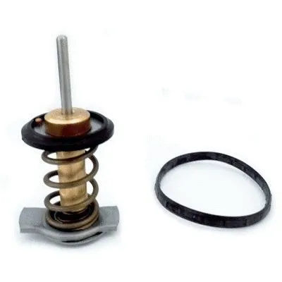 Termostatas HOFFER 8192840