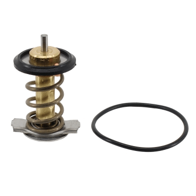 Termostatas HOFFER 8192957