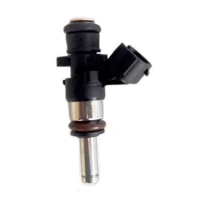 Purkštukas HOFFER H75114266