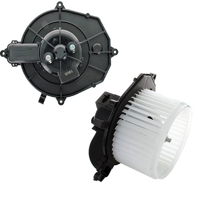 Vidaus putiklis HOFFER K92208