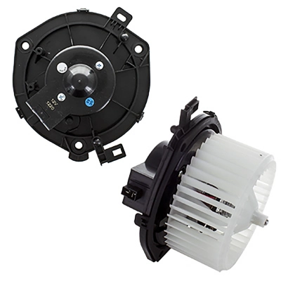 Vidaus putiklis HOFFER K92295