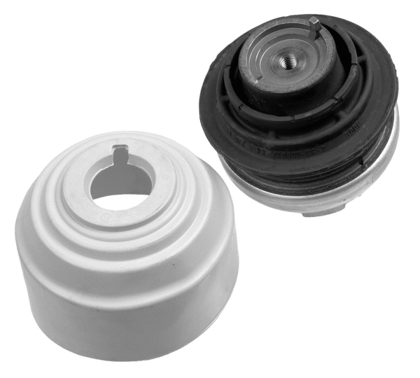 Variklio montavimas LEMFÖRDER 25407 01