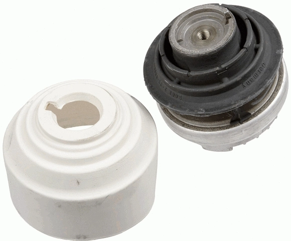Variklio montavimas LEMFÖRDER 29756 01
