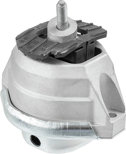 Variklio montavimas LEMFÖRDER 29827 01