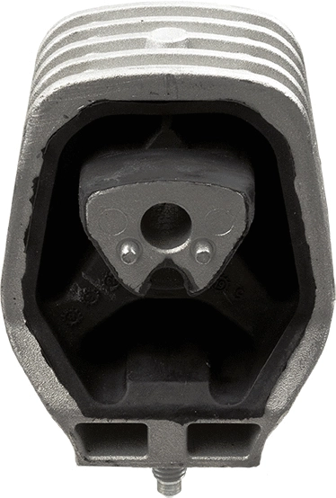 Variklio montavimas LEMFÖRDER 30532 01