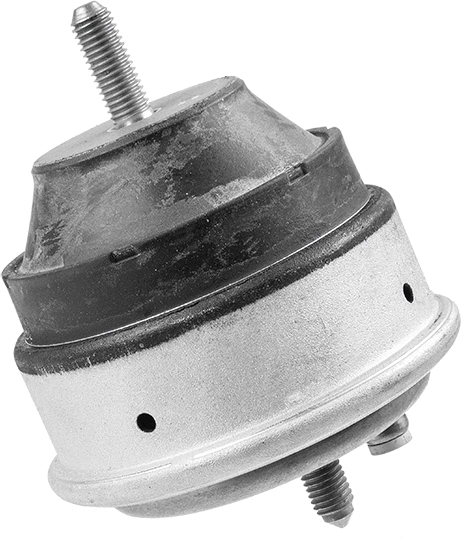 Variklio montavimas LEMFÖRDER 30534 01