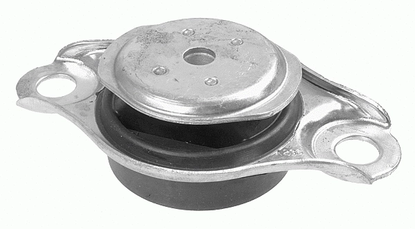 Variklio montavimas LEMFÖRDER 34451 01