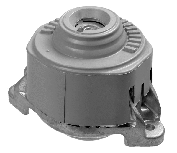 Variklio montavimas LEMFÖRDER 35518 01