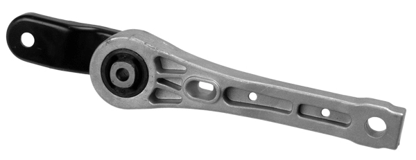 Variklio montavimas LEMFÖRDER 35519 01