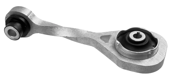 Variklio montavimas LEMFÖRDER 36274 01