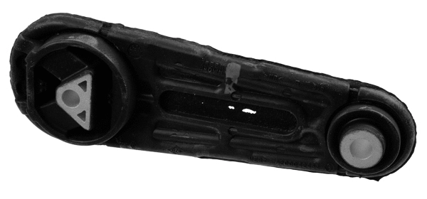 Variklio montavimas LEMFÖRDER 36491 01