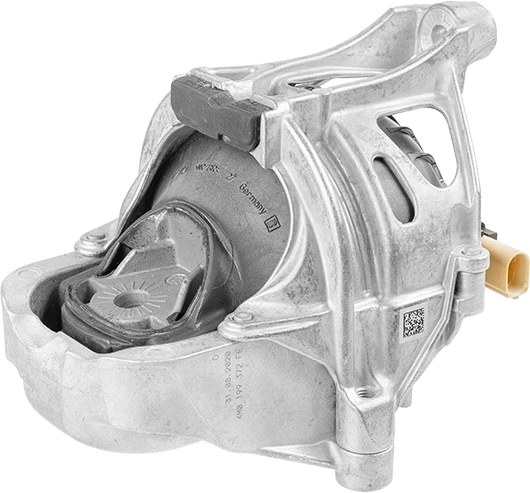 Variklio montavimas LEMFÖRDER 43027 01
