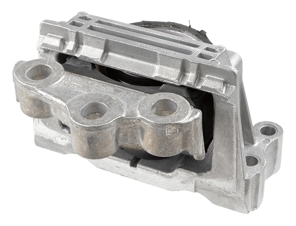 Variklio montavimas LEMFÖRDER 43136 01